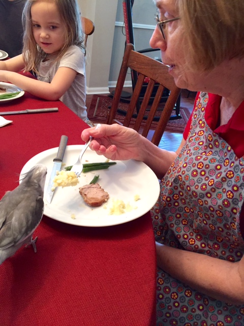 Now that I'm here, I'll just take my "alpha" place closest to the Small Chef.