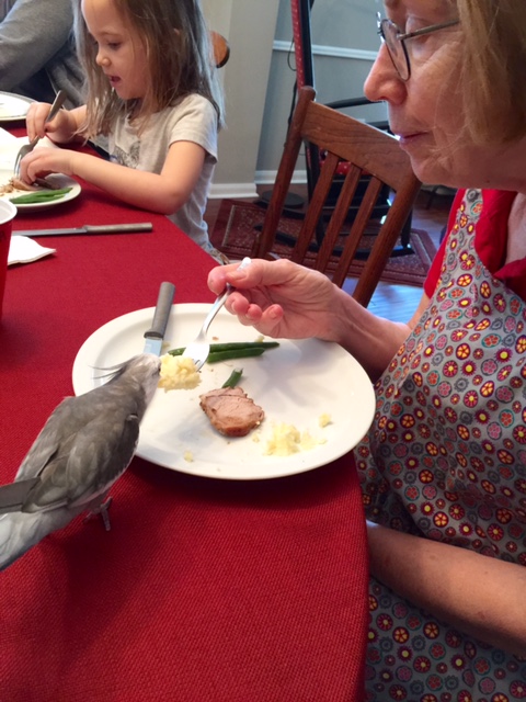 Thanks, Grandma - don't mind if I do! This looks delicious!