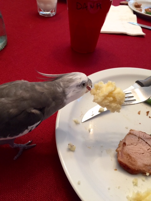 "Mashed potatoes for one" - it's one of my favorite dishes.