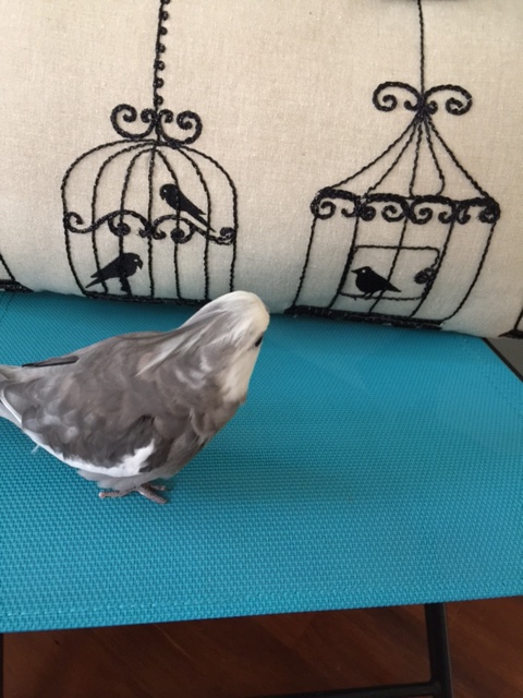 Well, hello there. So you're today's class, eh?