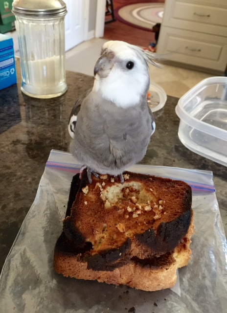 Some people still don't know about me? How many? Two? Three? Okay - I'll do it for them.