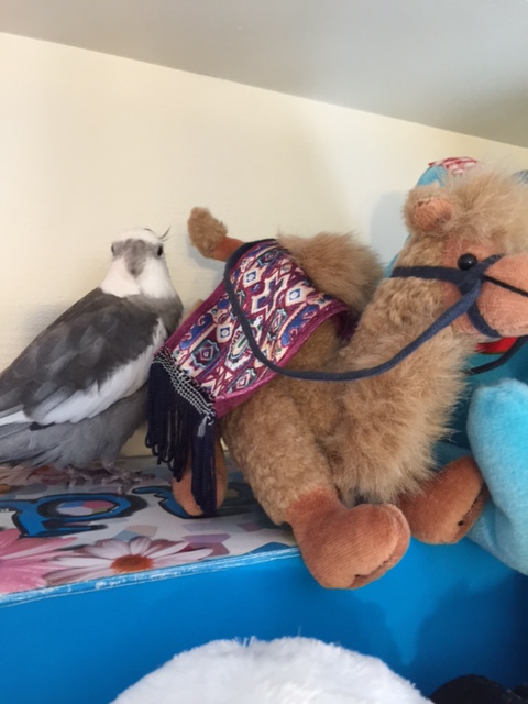 Is this the being you wanted me to meet, Mom?