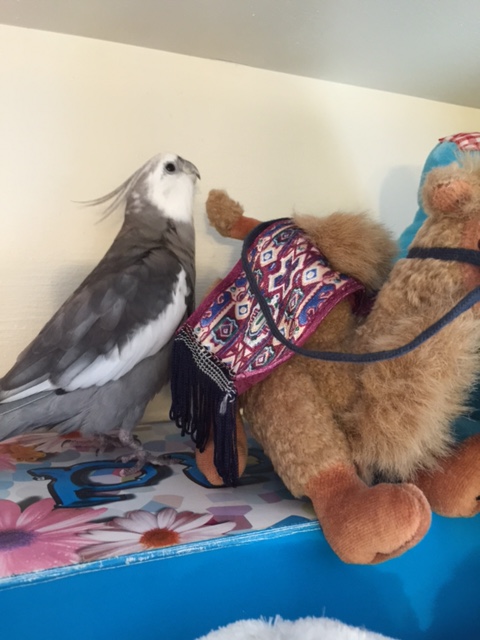 Well, nice to meet you - 