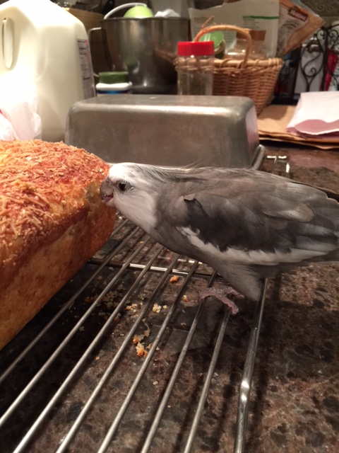 If memory serves (and it always does) I gave this dish 5 stars the first time I tried it.