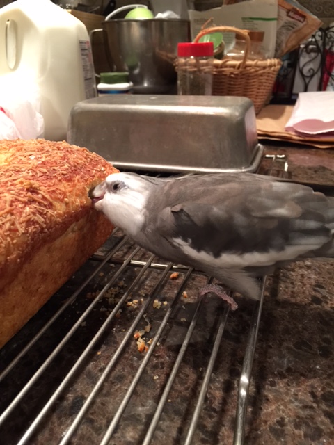 Let me just perform another one of my patented "consistency tests" to make sure it is still as tasty as I remember.