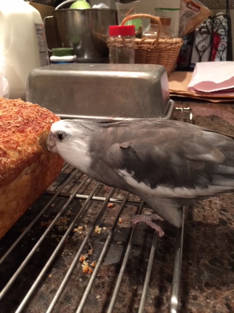 Oh boy, oh boy - I remember this dish!