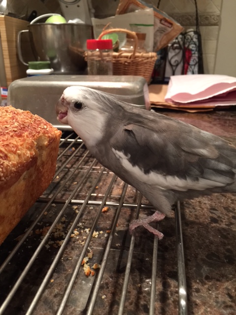 And I like this customized "dining platform" - great for gripping while I sample!