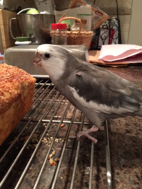 Mom, can you make sure to let all the chefs know to have one of these gripping platforms installed for when I come to dine?