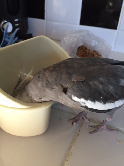 Very nice to meet all of you too!