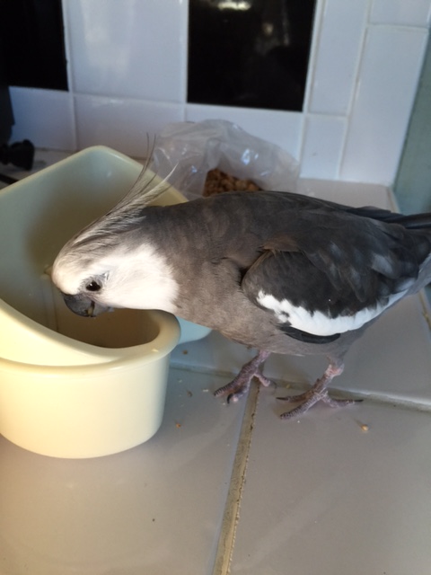 So what are you all doing for lunch today?