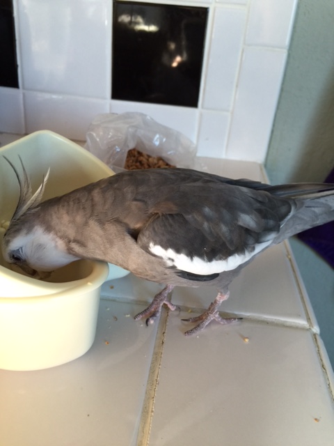 You don't have any plans? Me neither!