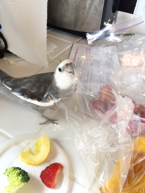 I verified the one called "salmon," Mom, but this character looks very suspicious!