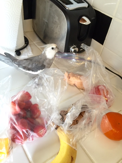 You there. State your name, rank, flavor, and the purpose for your visit.