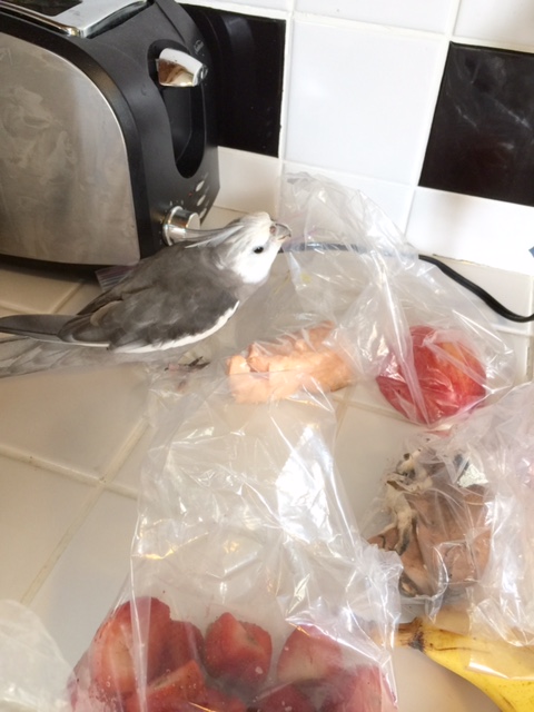 Speak up son, I don't bite (yet).