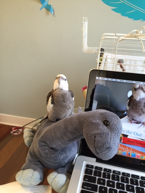 For instance, like this....why don't you come a little closer, Mom, and I'll show you!