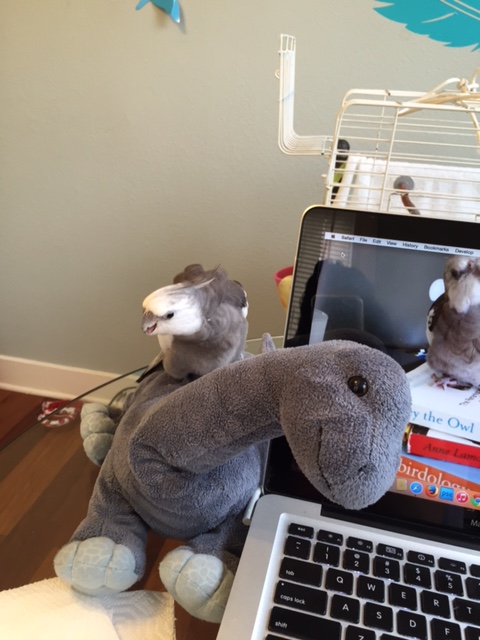 He's right - I am very fierce!