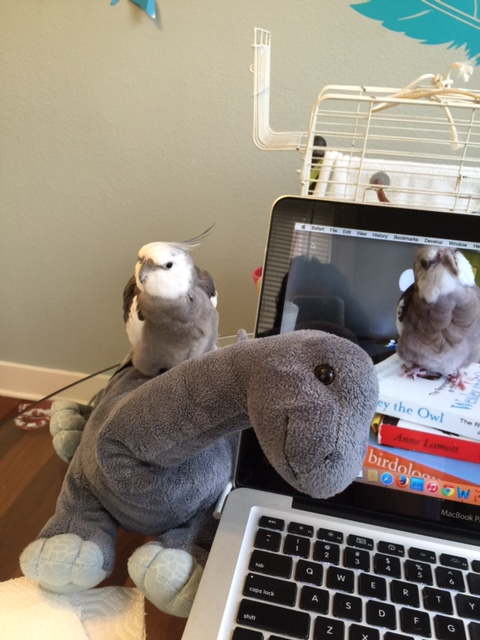 He says I'm a lot littler than he is, but I got all his "fierce" genes!