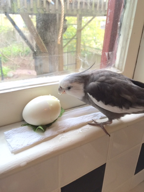 I can already see my artistic vision taking shape.