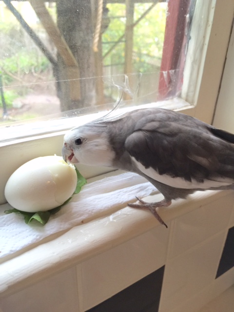 "Art" it is - I knew you would understand.