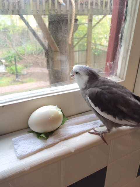 So what do you think of the piece so far? Oh good - I could almost have predicted you'd love it...we are always so much in sync about these things.