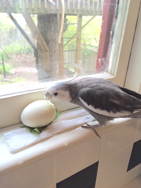 So let's just get started....