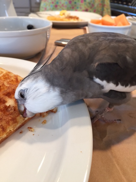 You are so scrumptious and delectable!