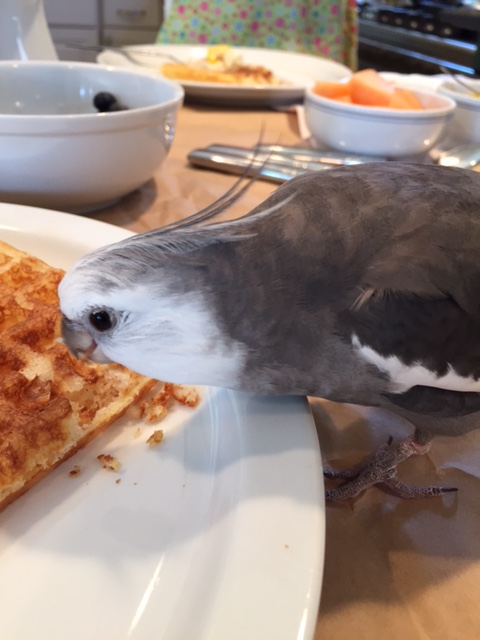 "Share the love?" Nice try, Mom, but that's not how Valentine's Day works....