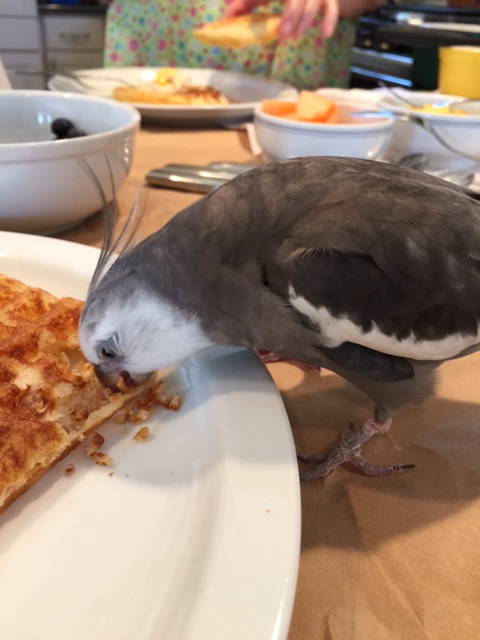 I can't imagine my life without you!