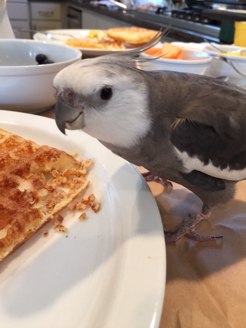 A commemorative "Day O' Love" photo with my beloved? Sure, that's a great idea!