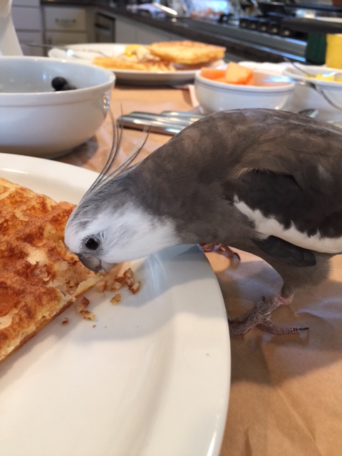 Now where was I.....?