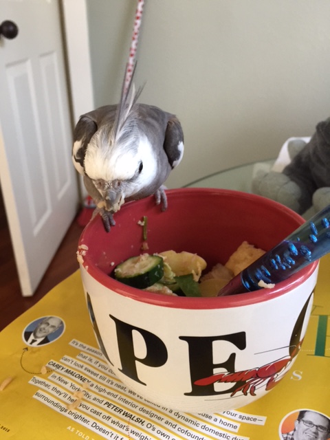 This tactic is called "The Vulture." Hunch over, narrow your eyes to slits, bare your beak, and look very grumpy.