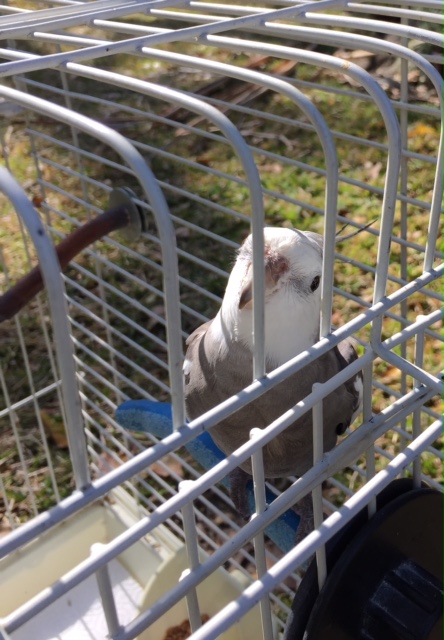 More cuteness? Good idea, Mom - I can do that!