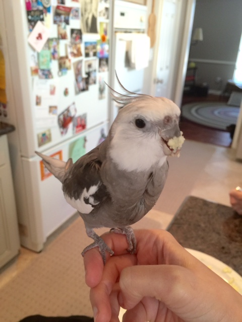 No wonder Mom's working that small rectangular flashing thing like crazy - she wants to remember how to duplicate this look for herself later!