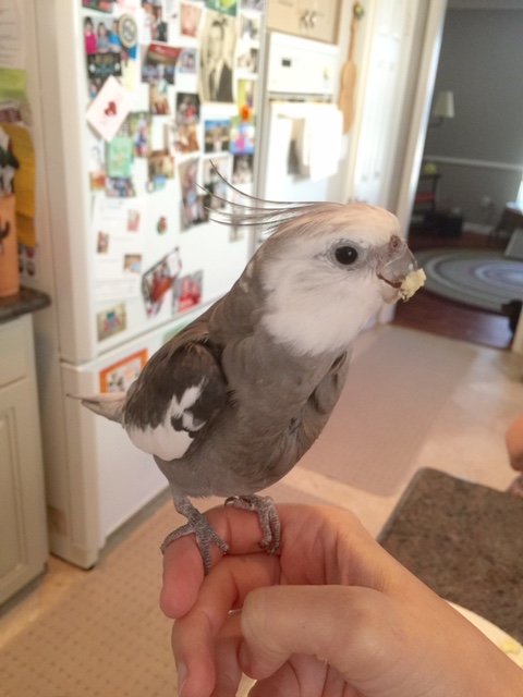 Well, don't eat all the mashed potatoes, then - be sure to save some for later.