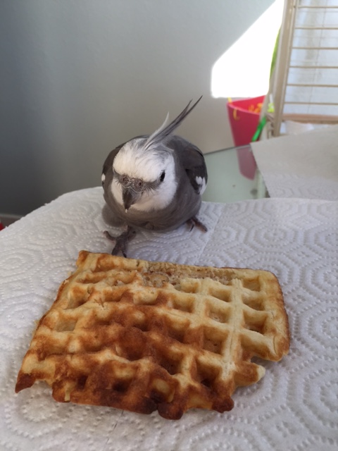 Oh your mark....get set....