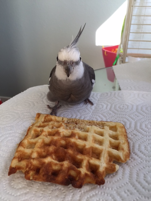 Well, look, I know I'm very cute and very pretty, but I've got to keep my strength up. I call 'snack break!'