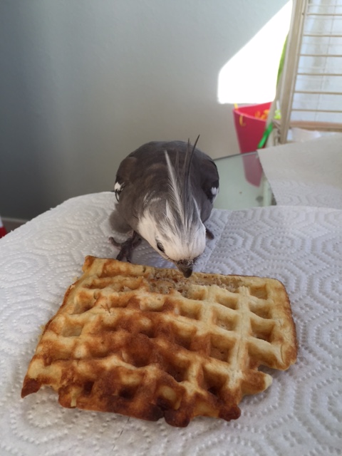 What IS that fragrance you are wearing? It's making me hungry again! 