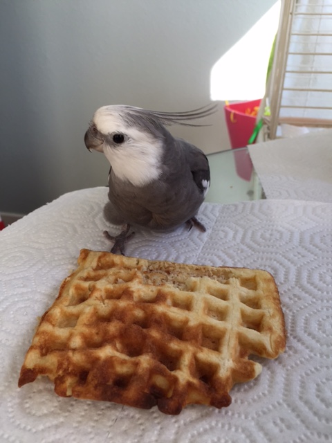 What, Mom?! We already checked the lighting, remember?