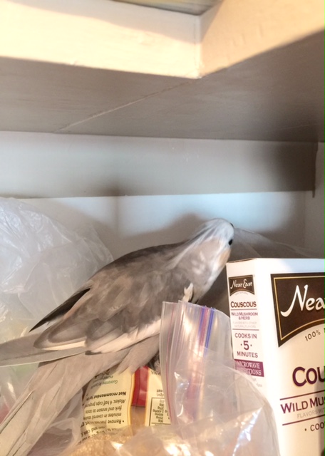 I'll just start scoping (while looking very cute).