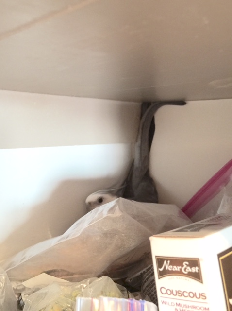 Slightly less high for "spaciousness."