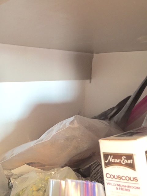 And there is no doubt plenty of great nesting material is close by.