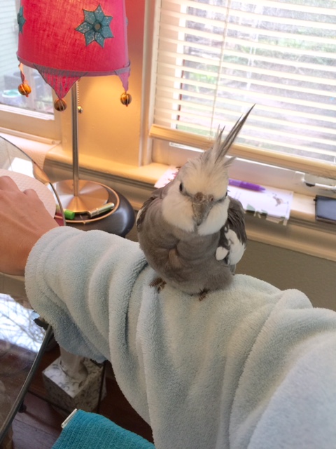 Seriously, Mom, you've got to cut back on the caffeine. You're starting to see things.