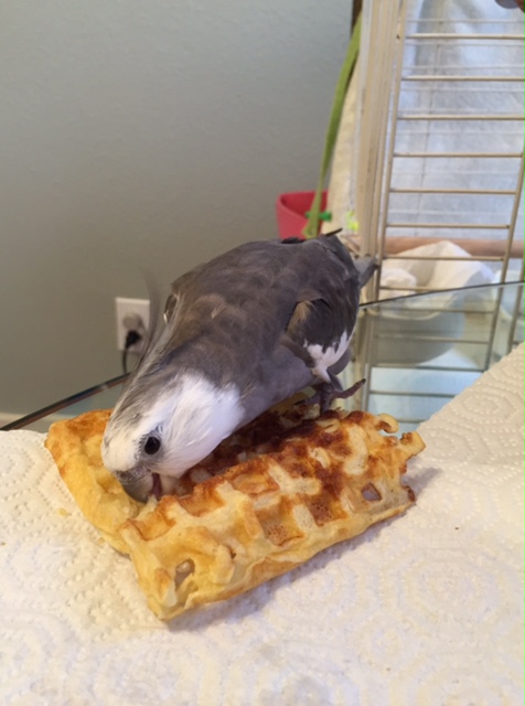 I'll just take a nibble to confirm my suspicions.