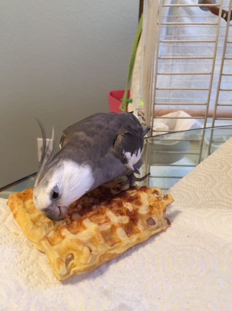 Boy does this look delicious - somehow even more so than usual!