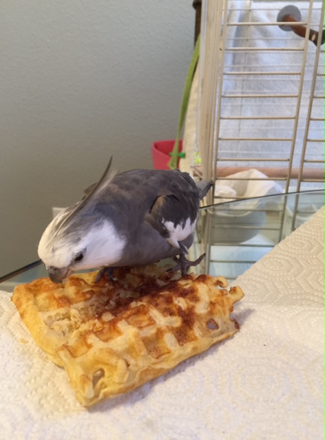 You're hiding something from me! Admit it!