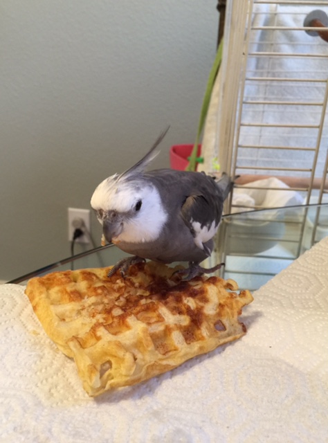 Yup - extra delicious, just as I suspected.