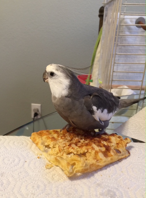 It's a "dinner time" waffle? Oh - well that explains it then.