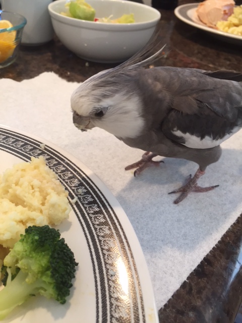 Hmmmm. It all looks so good.