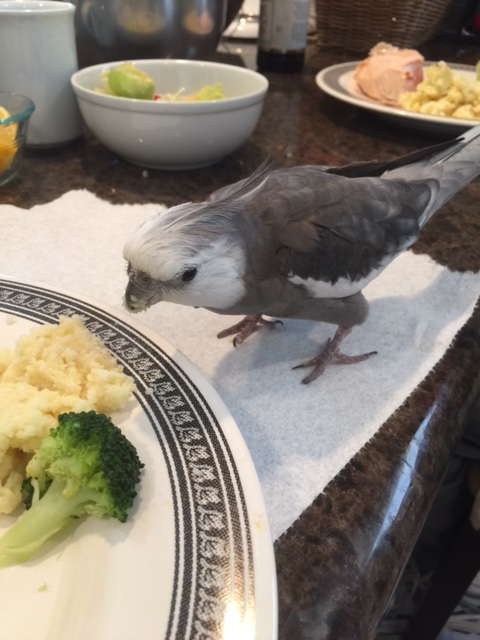 Let me just inch a bit closer to hone in on the choicest bits.