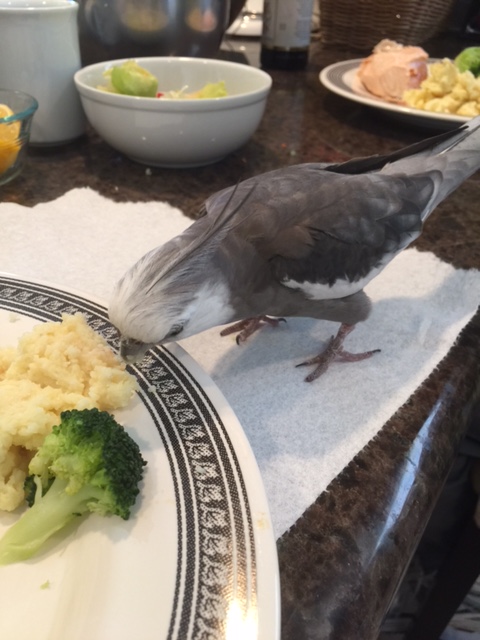 Boy, this bit over here looks particularly delectable.